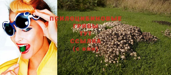 прущая мука Дмитровск