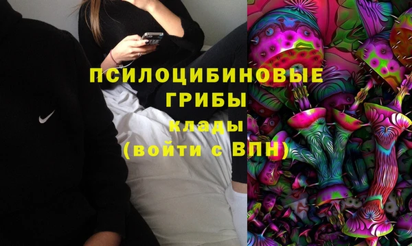 прущая мука Дмитровск