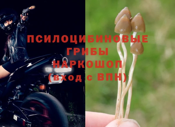 метадон Балахна