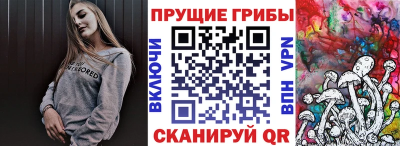 где продают наркотики  Шелехов  Галлюциногенные грибы ЛСД 