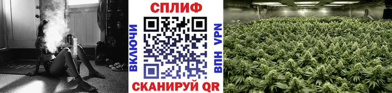 Марихуана планчик  Шелехов 